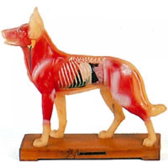 Model of dog 11.4 inches