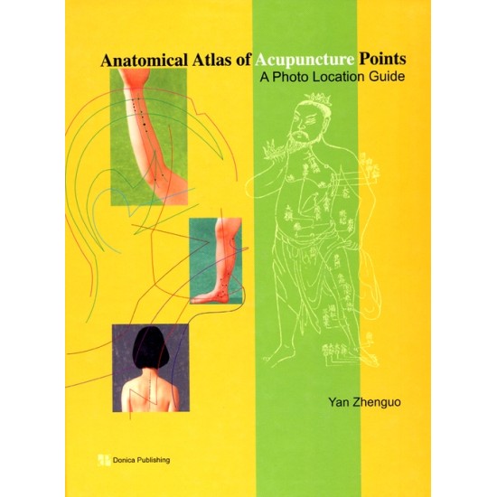 Anatomical Atlas of Acupuncture Points (A Photo Location Guide)