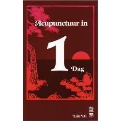 Acupunctuur in 1 dag